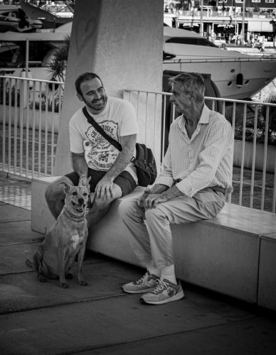 IMG_6741