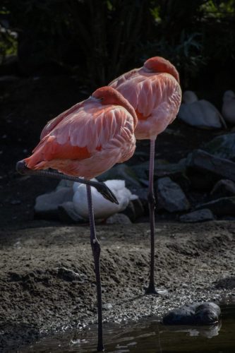 IMG_8217