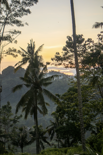 Scherm­afbeelding-2026-01-17-om-14.16.44