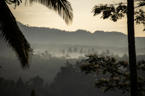 Scherm­afbeelding-2026-01-17-om-14.18.18