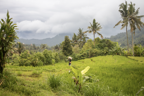 Scherm­afbeelding-2026-01-17-om-14.18.50