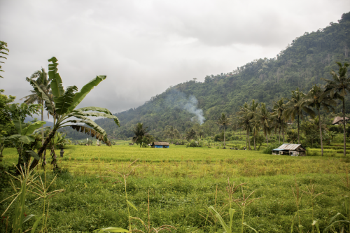 Scherm­afbeelding-2026-01-17-om-14.19.23