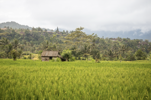 Scherm­afbeelding-2026-01-17-om-14.20.32