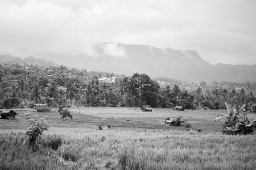 Scherm­afbeelding-2026-01-17-om-14.20.58