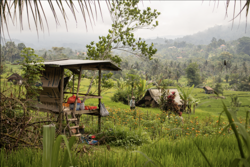 Scherm­afbeelding-2026-01-17-om-14.21.54