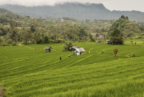 Scherm­afbeelding-2026-01-17-om-14.22.38