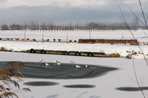 Scherm­afbeelding-2026-01-17-om-14.24.54