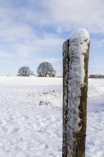 Scherm­afbeelding-2026-01-17-om-14.25.48