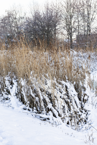 Scherm­afbeelding-2026-01-17-om-14.26.40