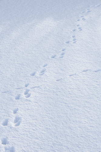 Scherm­afbeelding-2026-01-17-om-14.26.59