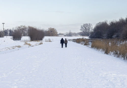 Scherm­afbeelding-2026-01-17-om-14.27.15