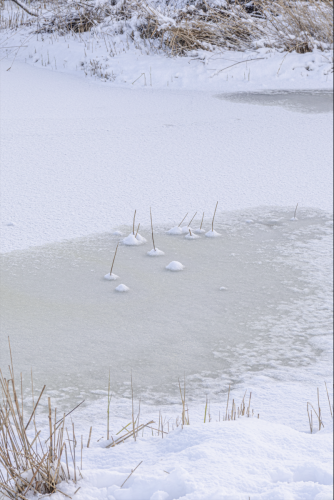 Scherm­afbeelding-2026-01-17-om-14.27.39