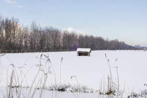 Scherm­afbeelding-2026-01-17-om-14.28.02